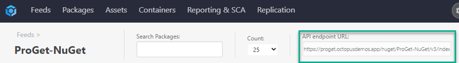 API endpoint URL